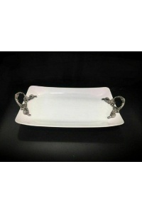 دیس دسته پیوتر فیوچر