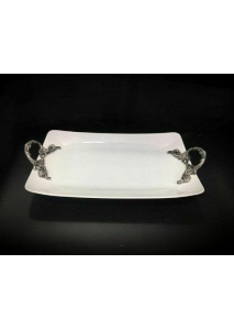 دیس دسته پیوتر فیوچر