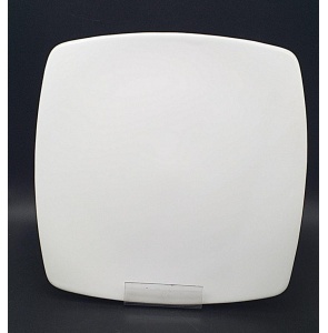 تخت 27 سناتور سفید