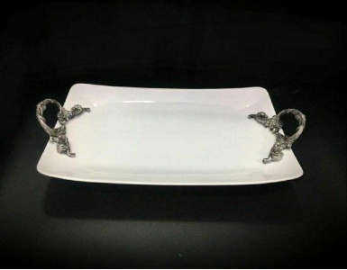 دیس دسته پیوتر فیوچر